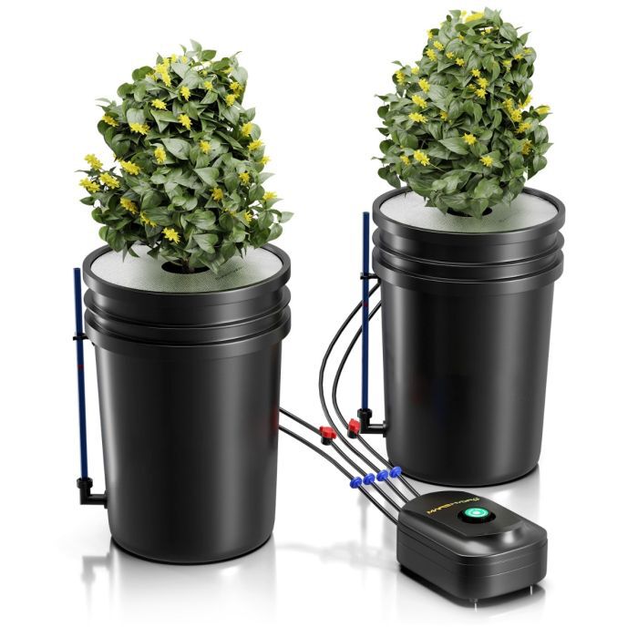 cannabis hydroponic system