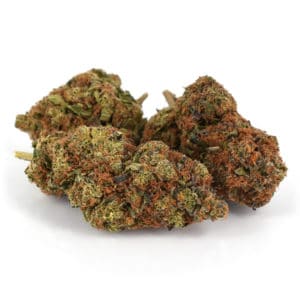 Girl Scout Cookies