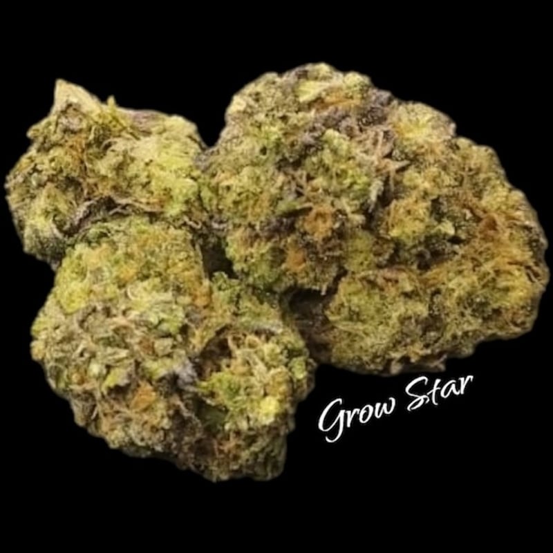 Grizzly Purple Kush