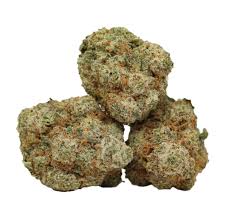 Blueberry Bars