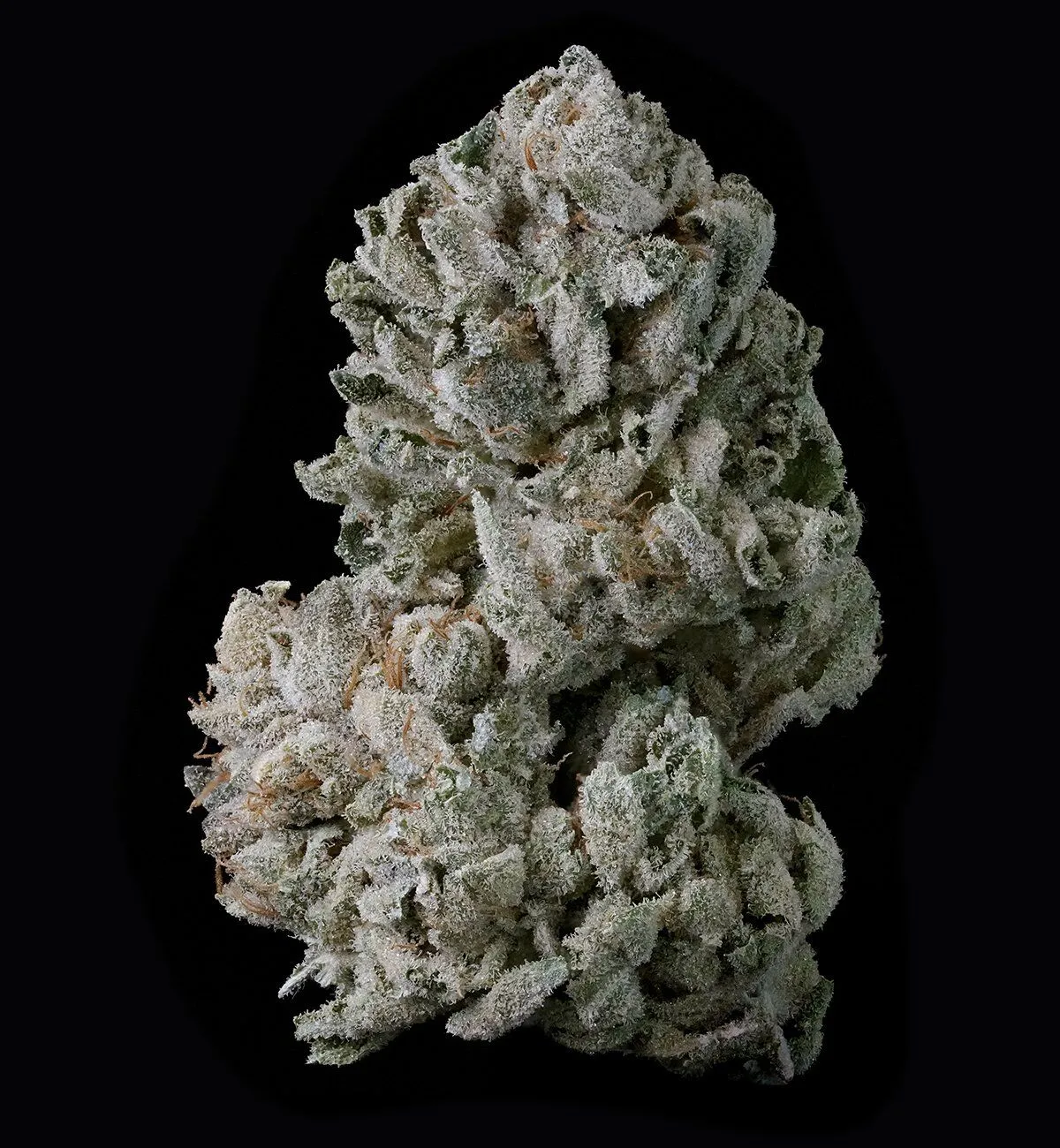 Black Diamond