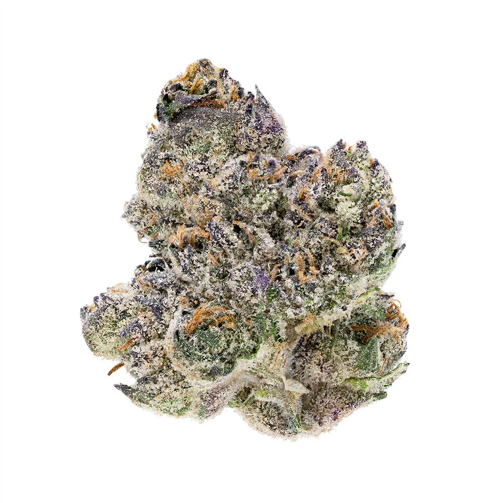 Exodus Cheese