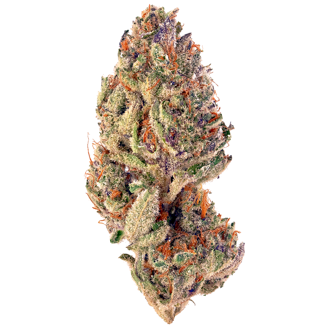Tropicana Icing