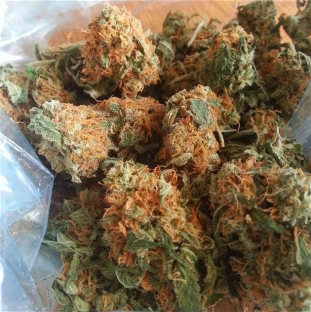 California Orange