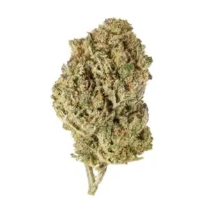 Harlequin Feminized