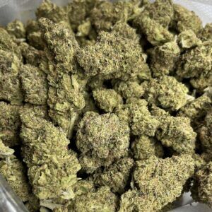 Skywalker Feminized