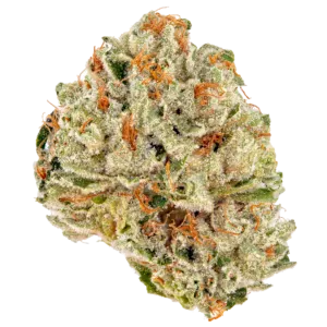 Sour Kush Feminized