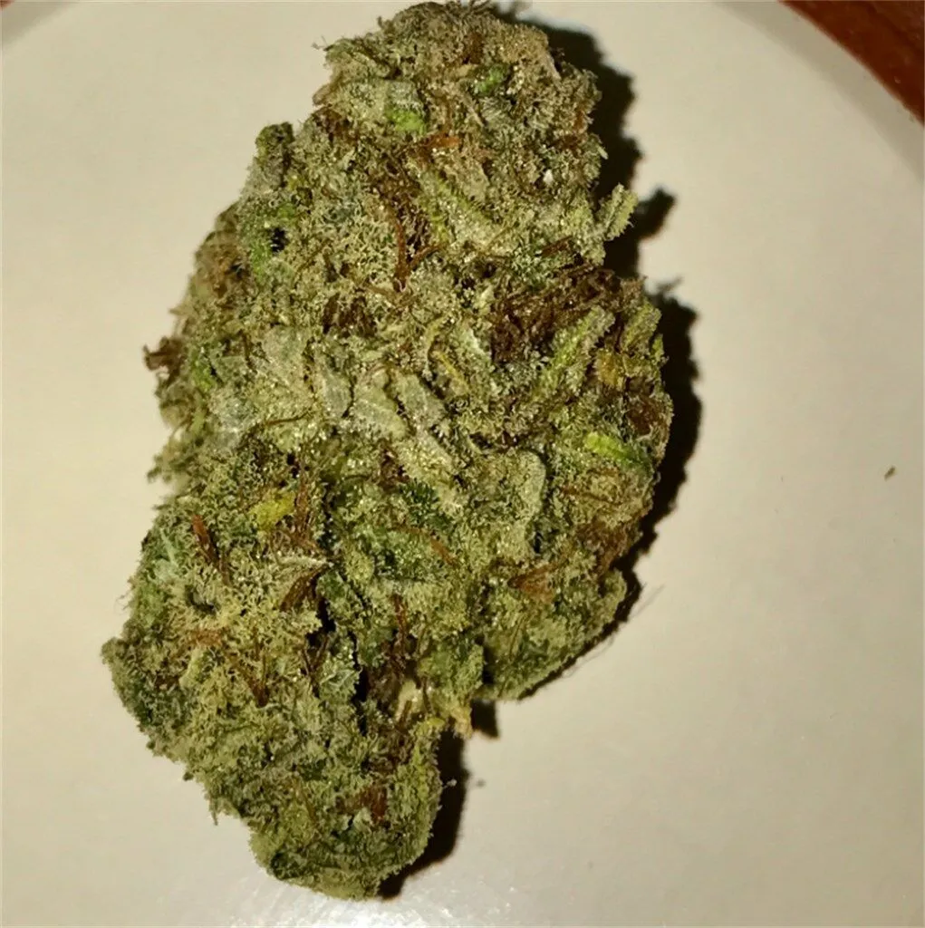 Dutch Treat