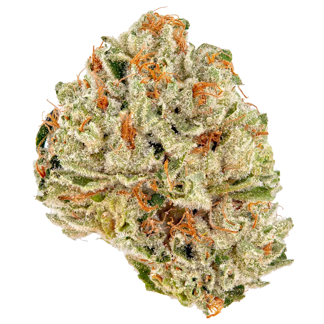 Sour Kush