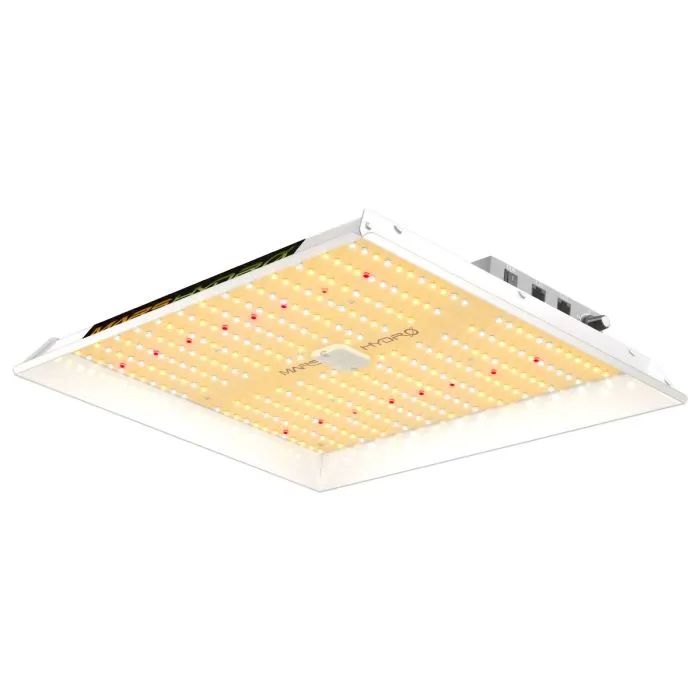 led cannabis grow lights