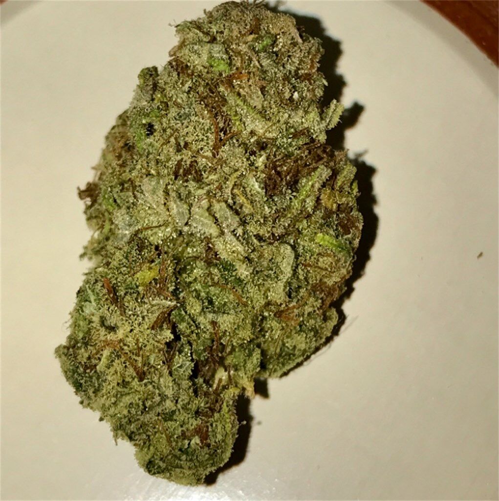 Dutch Treat