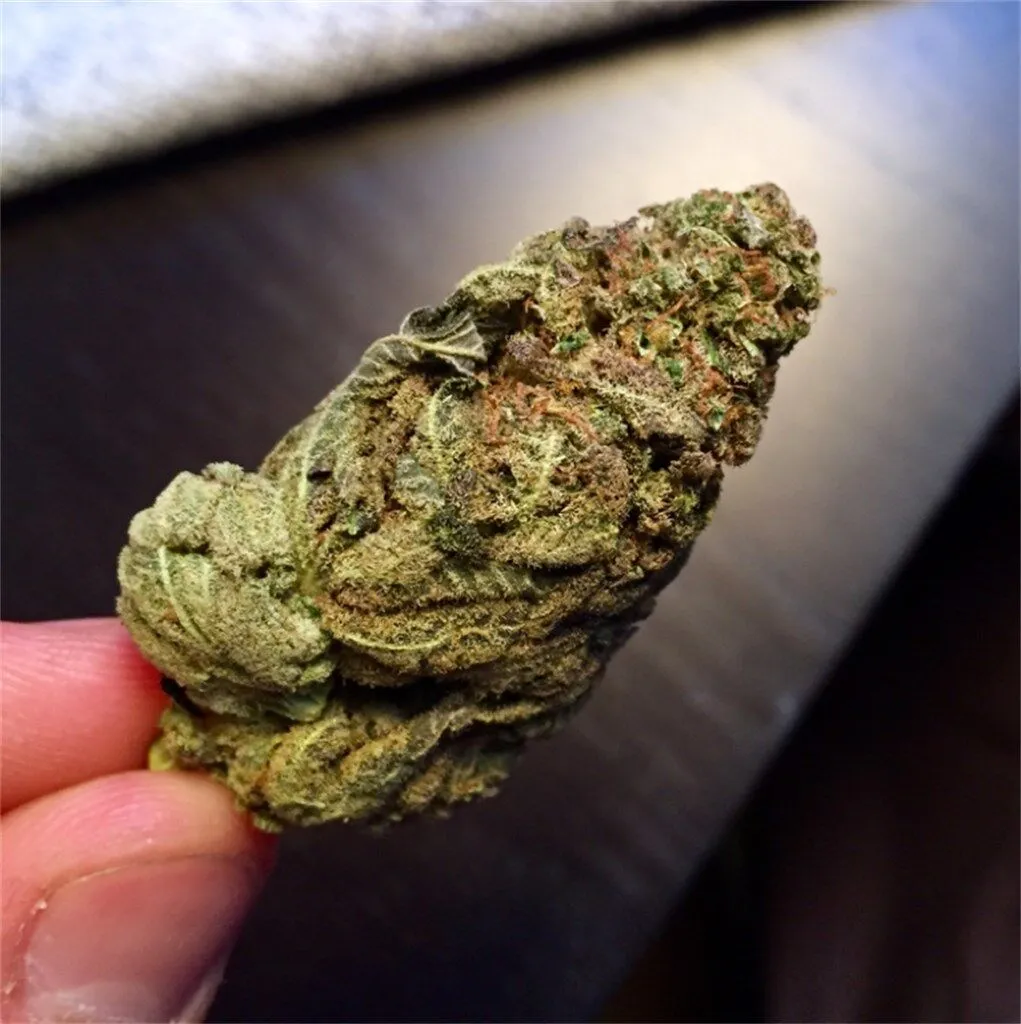 Power Plant