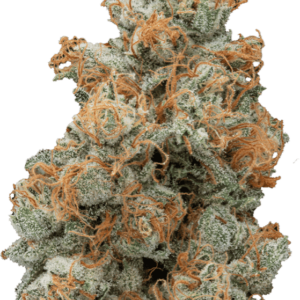 Ghost OG