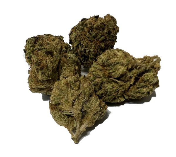 Skunk Afghani