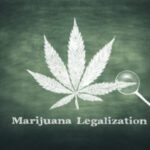 Legal cannabis leaf graphic with a small magnifying glass on it