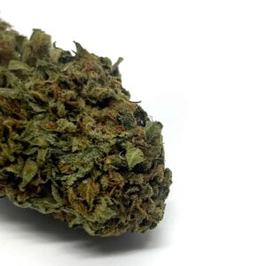 Diesel OG