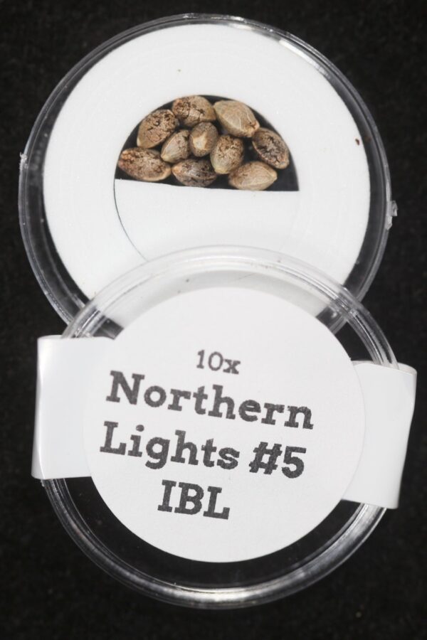 Northern Lights #5