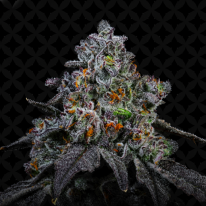 Super Chronic