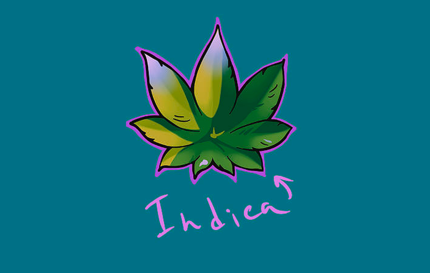 Cannabis Indica Plant