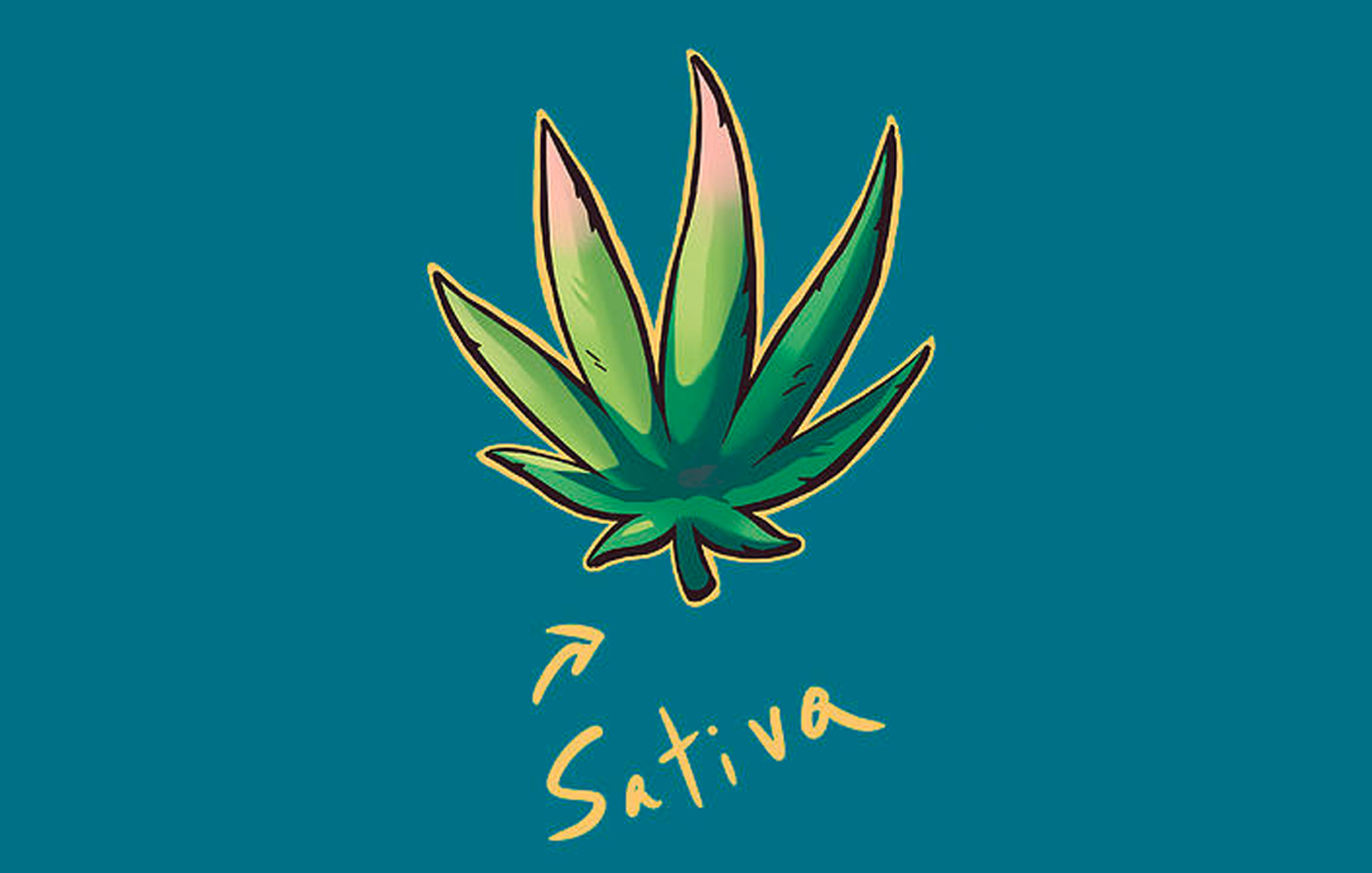 Cannabis Sativa Plant