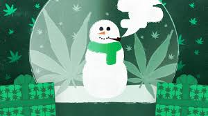 Snowball strain marijuana snowman