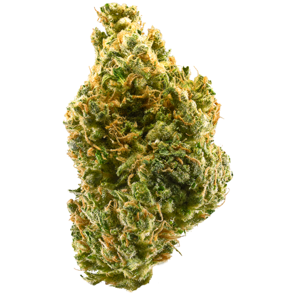 Tangie