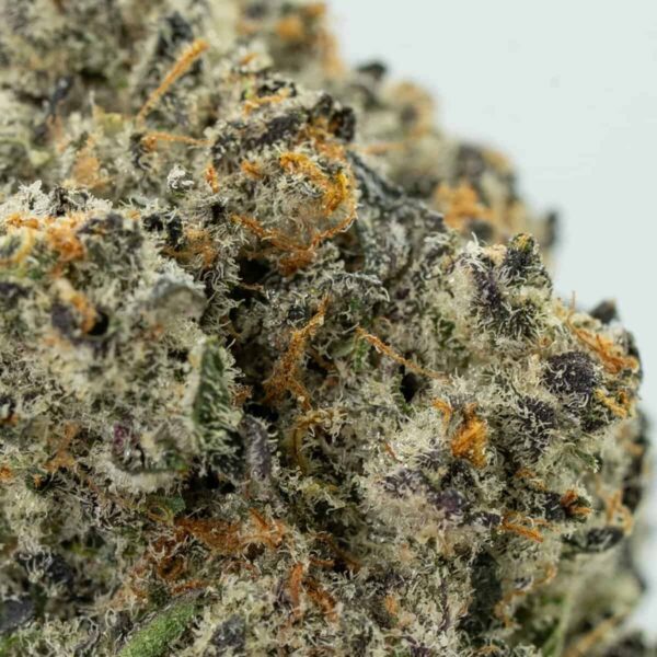 Venom OG
