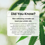 An image explaining the creative benefits that come from cannabis cultivation