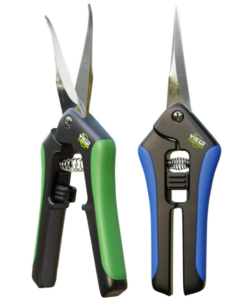 A set of two spring-loaded cannabis trimming scissors