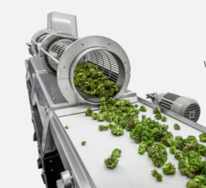 A commercial cannabis trimming machine