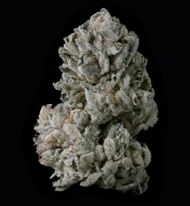 Black Diamond Feminized