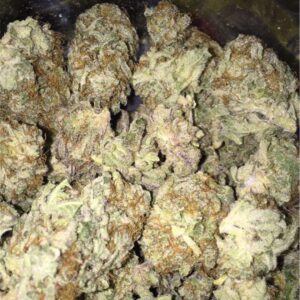 Blackberry Kush Feminized