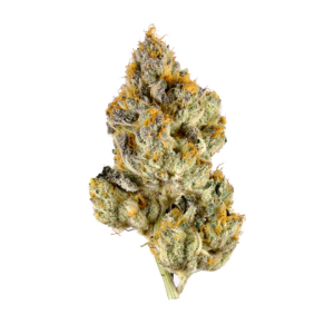 Skunk #1 Skunk #1