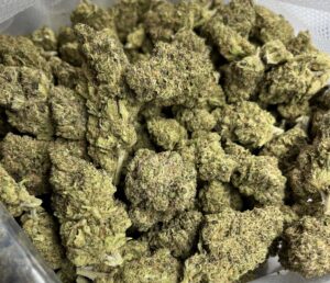 Skywalker Feminized