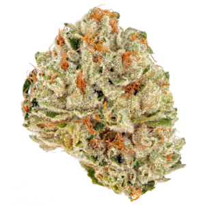 Sour Kush
