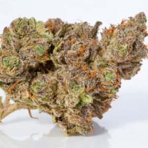 Stardawg