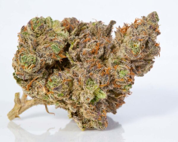 Stardawg