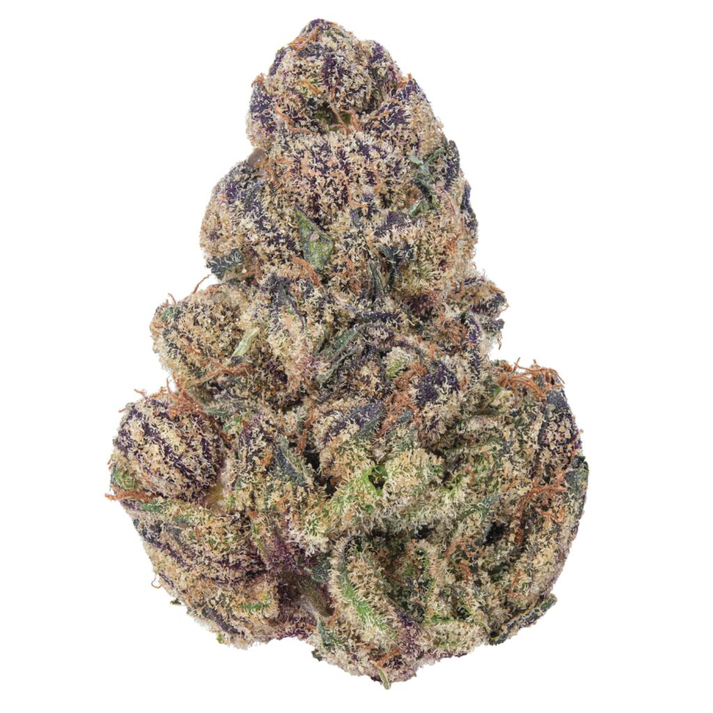 Candy Gelato Strain DessertInspired Cannabis