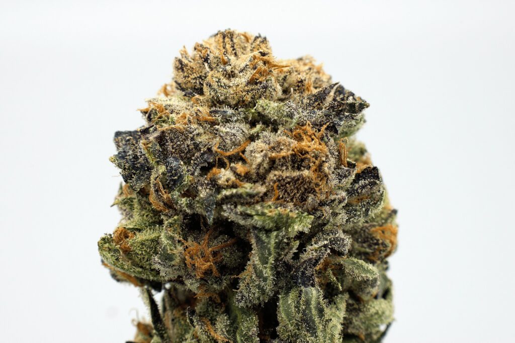 Purple Chem