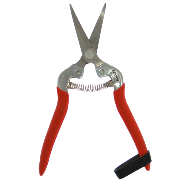 cannabis pruning scissors