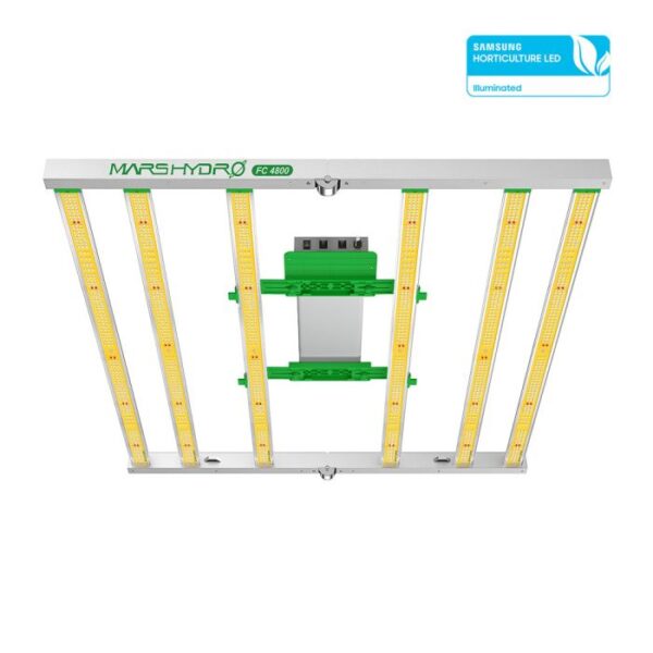 lights for growing cannabis