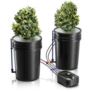 Premium Hydro 5-Gallon DWC Hydroponic System Kit With 2 Buckets