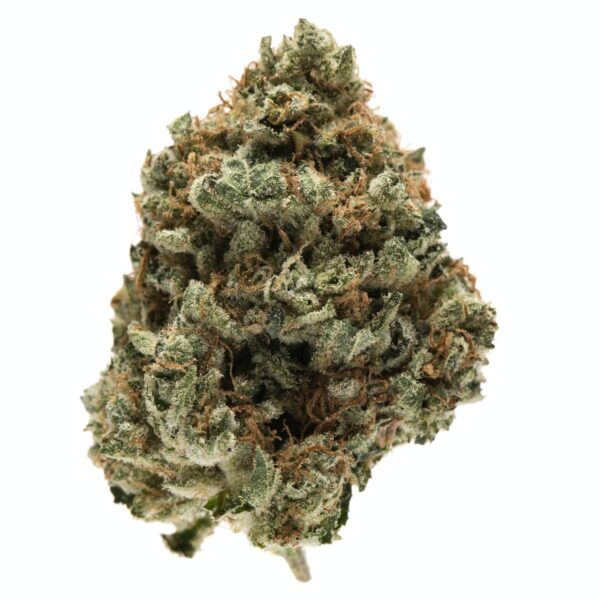 Kosher Kush