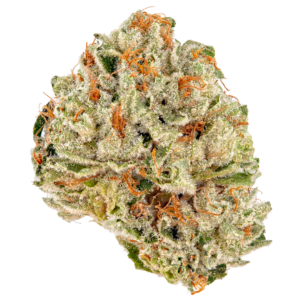 Sour OG