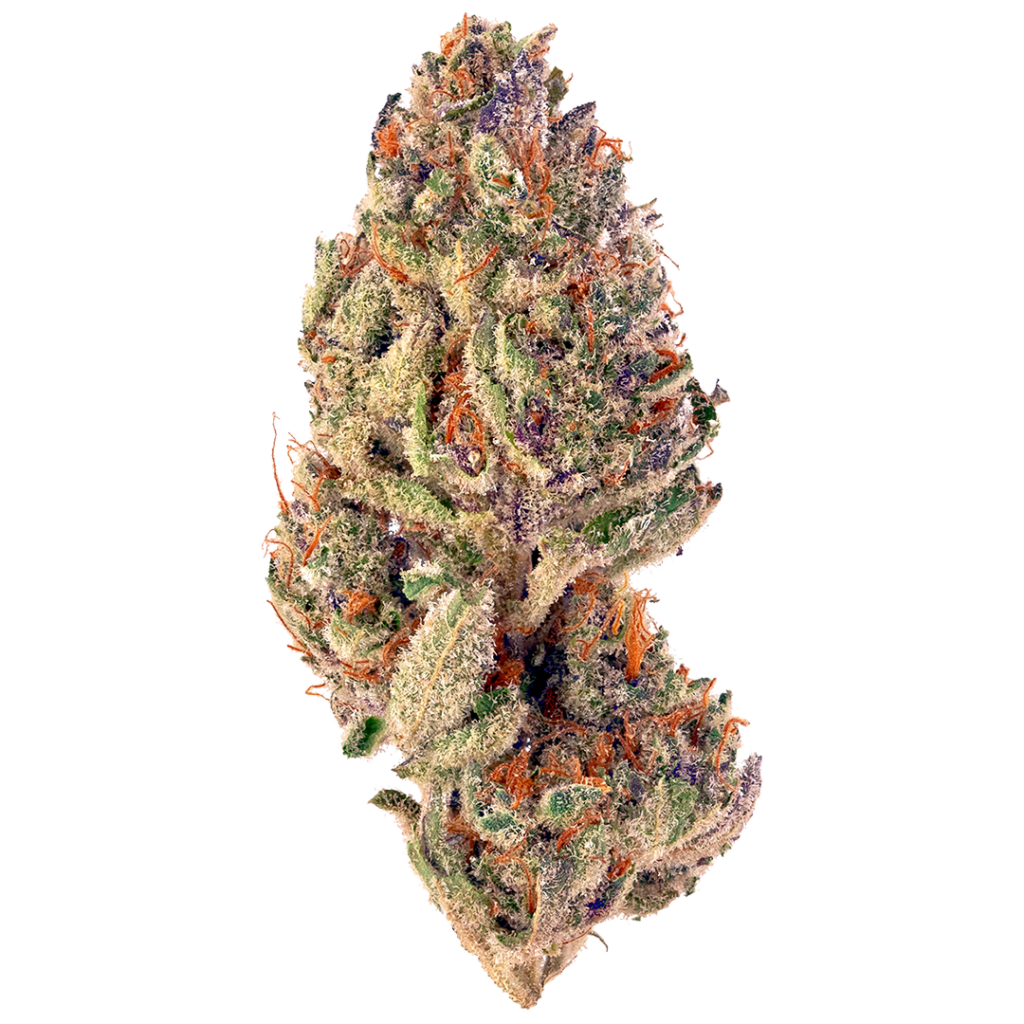Tropicana Icing