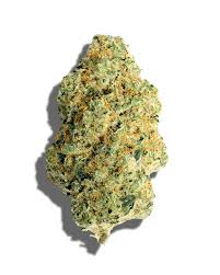 Wifi OG