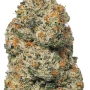 Strain