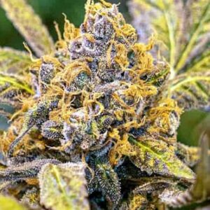 Highspeed