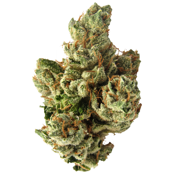 SFV OG