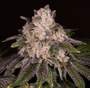 Strawnana